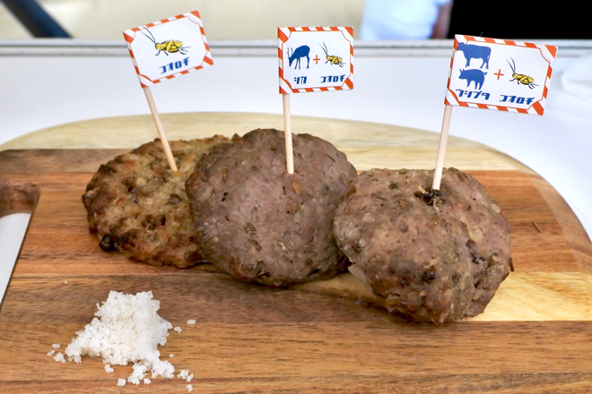 虫グルメフェスVol.0