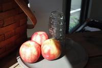 アパレル,milok,ミロック,メンズ,ショップ,神南,直営,渋谷,靴,ドメブラ,シマダアンティークス,shimadantiques,スリーマイルウォーカー,three mile walker,犬,ペット,ライフスタイル,ライフスタイルショップ